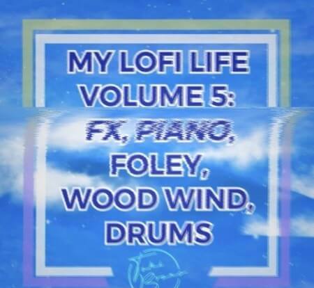 Big Citi Loops My Lofi Life Vol 5 WAV